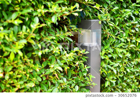 Solar garden lights are charged during the day 30652076