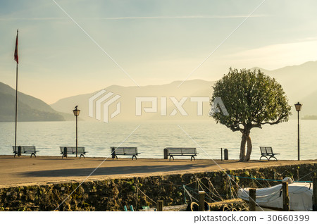 Scene side of Lake Maggiore in Switzerland 30660399