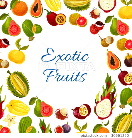 Vector poster of exotic fresh tropical fruits - Stock Illustration ...