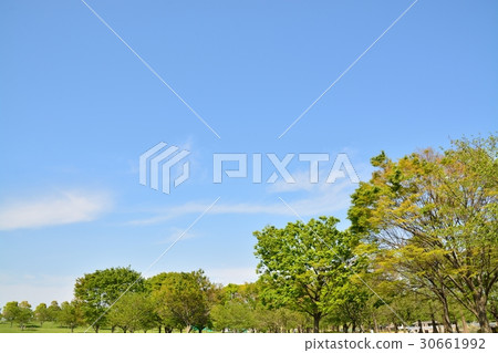 新鮮的綠色Treed公園 新鮮的綠色Treed公園 30661992