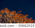Deigo的花和星空 30662019