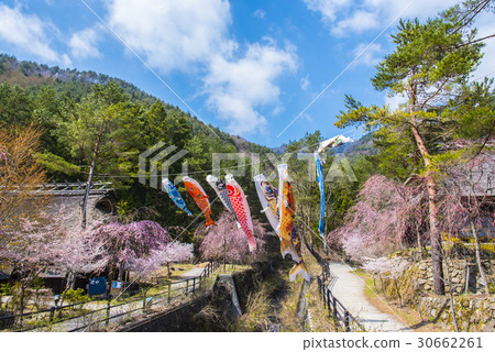 茅草和鯉魚旗 30662261