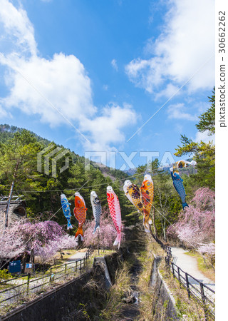 Carp streamer 30662262