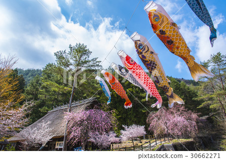 Creation of the principal ridge and a carp streamer 30662271