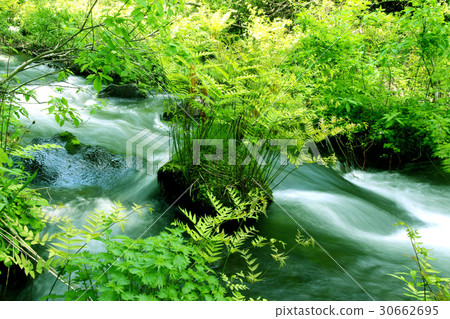 春天的檜原河（Urasanbadai / Kitashiobara村） 30662695