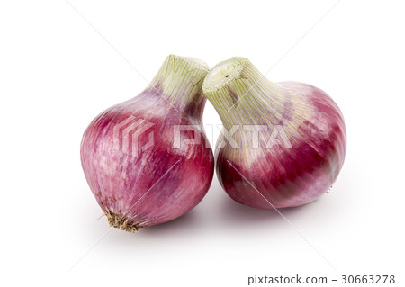 Red onion (shadow ink, background whiteout) 30663278