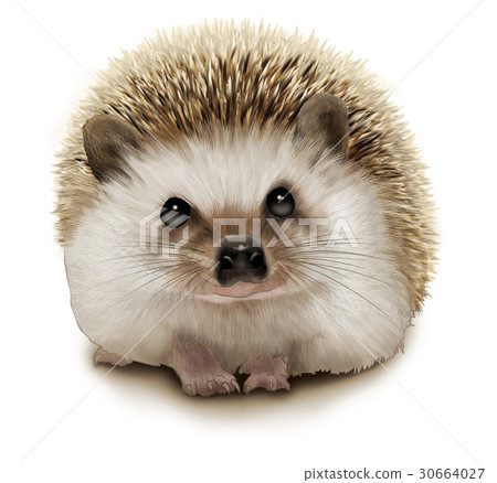 地獄的照片 地獄的照片 30664027