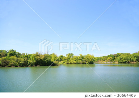 Fresh green park 30664409