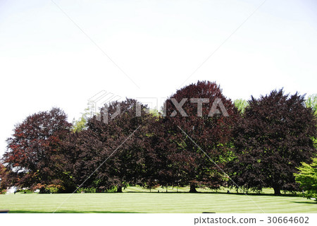 USA. park USA. park 30664602