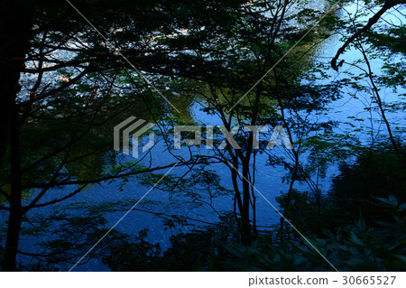 夏長Kamikochi長野縣 30665527