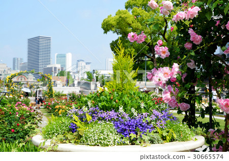 大阪Nakanoshima玫瑰園的風景 大阪Nakanoshima玫瑰園的風景 30665574