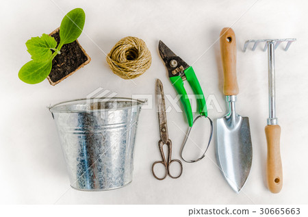 Garden tools for planting, on white background Garden tools for planting, on white background 30665663
