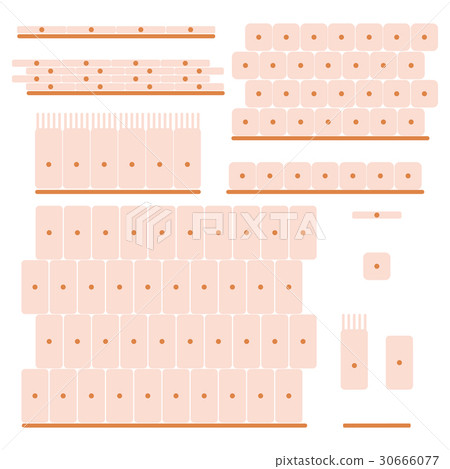 epithelial tissue set 30666077