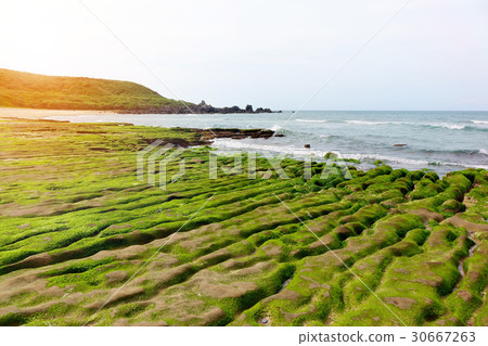 Green reef of Laomei coast 30667263
