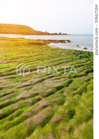 Green reef of Laomei coast Green reef of Laomei coast 30667264
