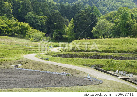 Paddy rice paddy agricultural agricultural machine cultivator 30668711