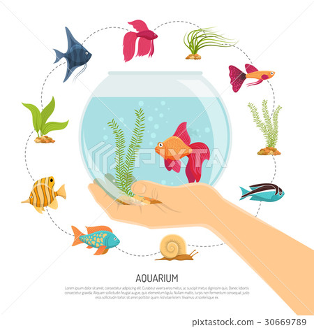 Fish Bowl Hand Composition Fish Bowl Hand Composition 30669789