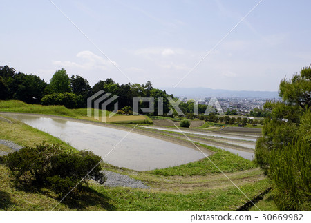 Paddy Rice Terrace Shogakuin Imperial Palace Paddy Rice Terrace Shogakuin Imperial Palace 30669982