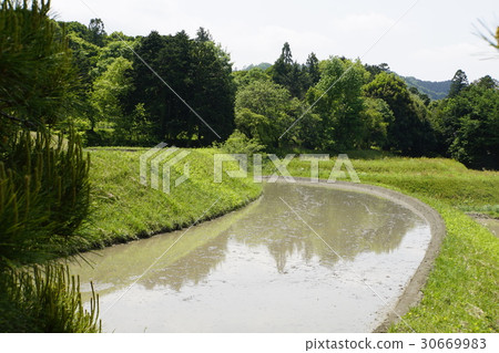 Paddy Rice Terrace Shogakuin Imperial Palace Paddy Rice Terrace Shogakuin Imperial Palace 30669983