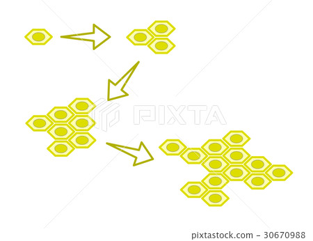 Cell division Cell division 30670988