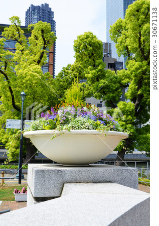 Scenery of Osaka Nakanoshima rose garden Scenery of Osaka Nakanoshima rose garden 30671138