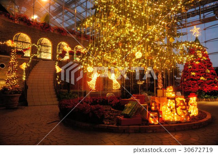Hamamatsu Flower Park Christmas Illumination 30672719