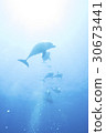 The sun and dolphin 30673441