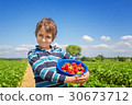 Boy with a strawberry crop in his hands  30673712