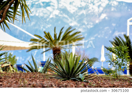 Garda lake, italy Garda lake, italy 30675100