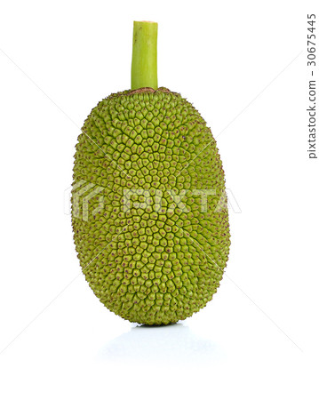 Jackfruit isolated on white background Jackfruit isolated on white background 30675445