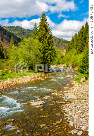 Rapid stream in green forest Rapid stream in green forest 30675489