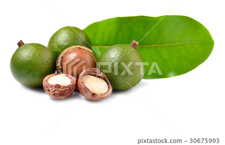 macadamia nuts isolated on white background 30675993