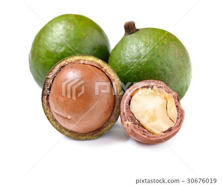 macadamia nuts isolated on white background 30676019