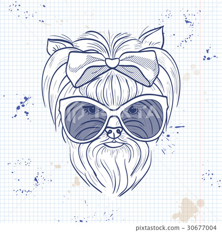 Vector color sketch of elegant dog Vector color sketch of elegant dog 30677004