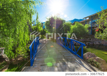 Garden landscape 30677625