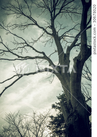 秋天的風景 30678020