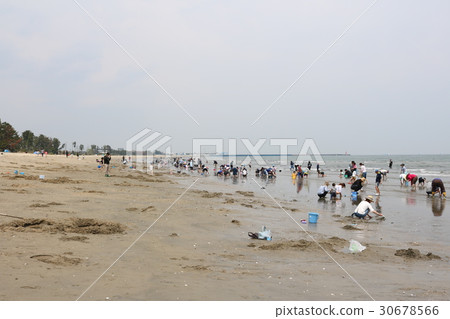 Gotemba Beach bath early in the morning snacking Gotemba Beach bath early in the morning snacking 30678566