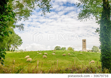 Ruin of old church by Bruges 30679738