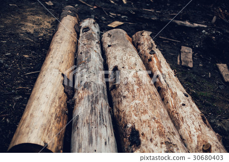 Pile of cut pine logs in the forest. Pile of cut pine logs in the forest. 30680403