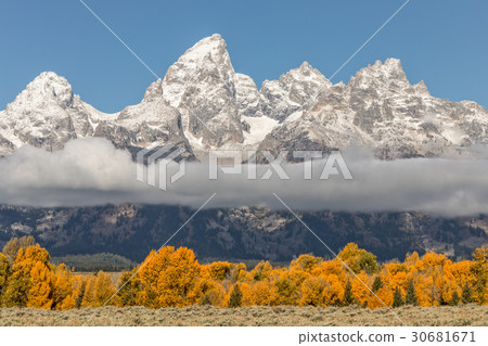 Autumn in the Tetons 30681671