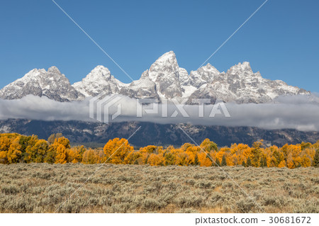 Autumn in the Tetons 30681672
