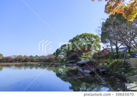 京都·大學寺·大澤池 30683070