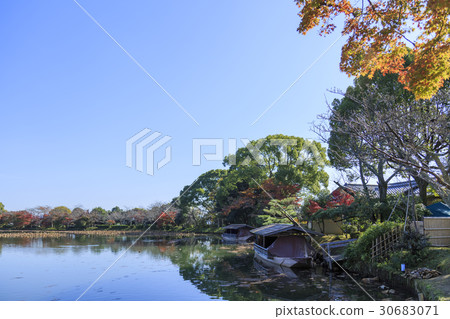京都·大學寺·大澤池 30683071