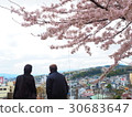 一對老夫婦和櫻花 30683647