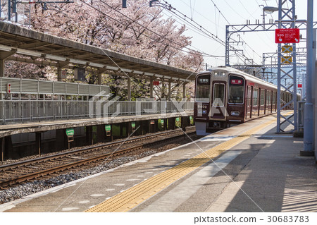 Cherry blossoms in Kyoto 30683783
