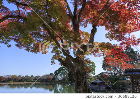 Autumn leaves of Kyoto · Daikakuji · Osawa pond Autumn leaves of Kyoto · Daikakuji · Osawa pond 30685126