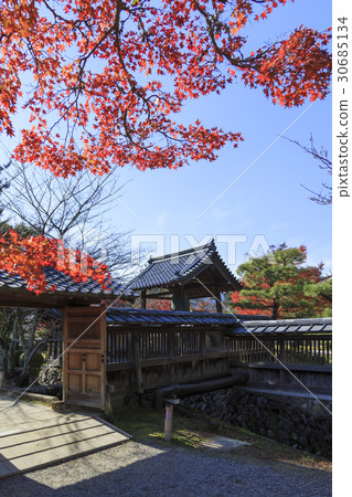 Daikaku-ji寺廟秋葉在京都 30685134