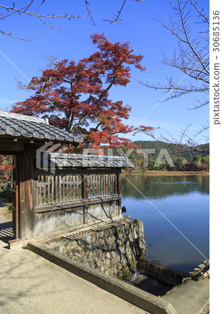 京都·大學寺·大澤池 30685136