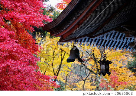 Fukuman in autumn Takashi Kurugi Temple (Yanatsu Town) 30685868
