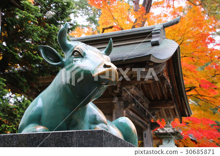 Fukuman in autumn Takashi Kurugi Temple (Yanatsu Town) 30685871